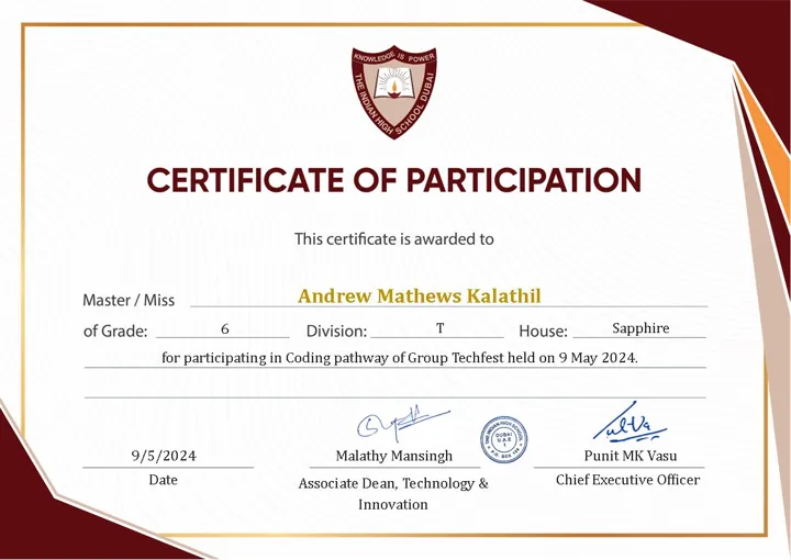 Preview of Certificate of Participation — Coding pathway